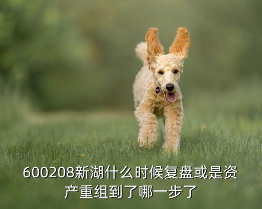 600208新湖什么時候復(fù)盤或是資產(chǎn)重組到了哪一步了