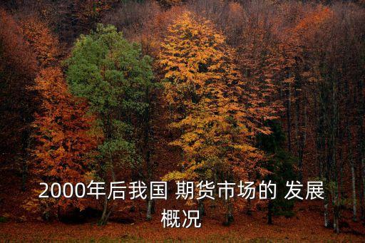 2000年后我國 期貨市場的 發(fā)展概況