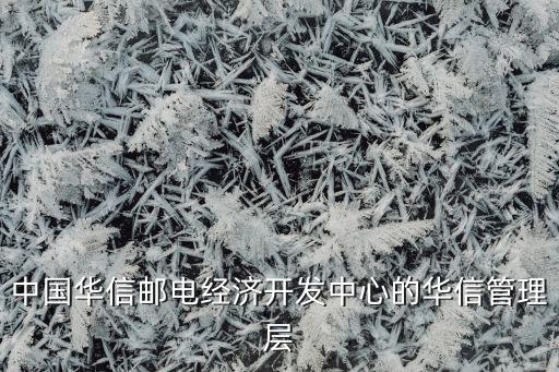 中國華信郵電經(jīng)濟開發(fā)中心的華信管理層