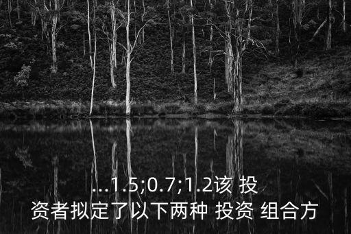 ...1.5;0.7;1.2該 投資者擬定了以下兩種 投資 組合方