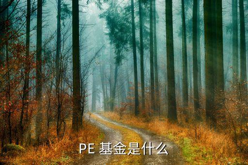 PE 基金是什么