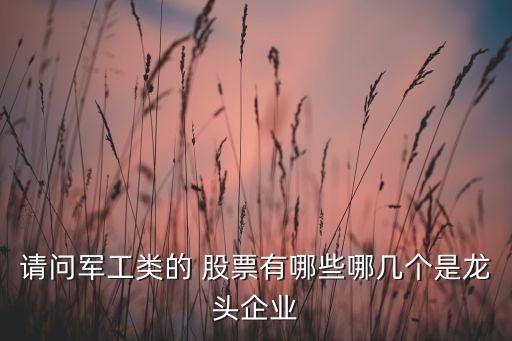 請(qǐng)問(wèn)軍工類(lèi)的 股票有哪些哪幾個(gè)是龍頭企業(yè)