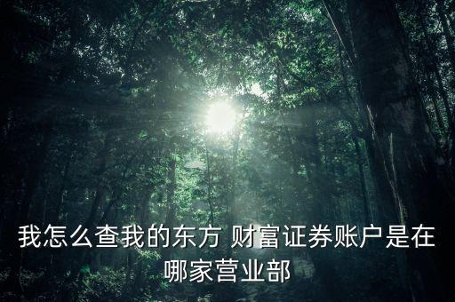 我怎么查我的東方 財富證券賬戶是在哪家營業(yè)部