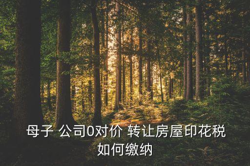  母子 公司0對價 轉(zhuǎn)讓房屋印花稅如何繳納