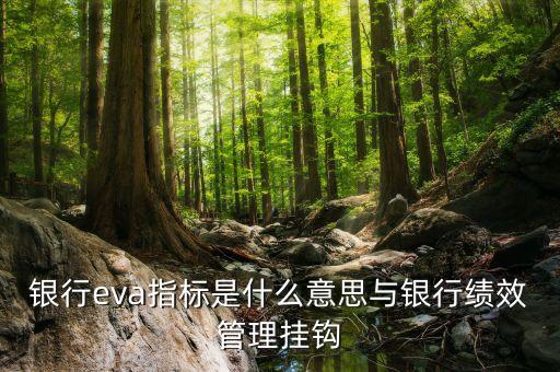 銀行eva指標(biāo)是什么意思與銀行績(jī)效管理掛鉤