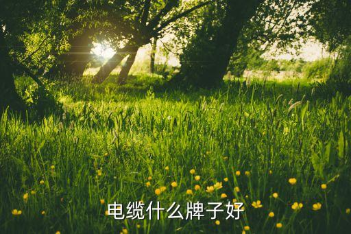 杭州萬(wàn)錦榮線(xiàn)纜有限公司,杭州德福線(xiàn)纜有限公司怎么樣