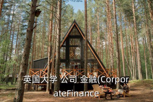 英國大學 公司 金融(CorporateFinance