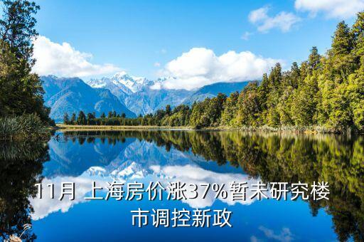 11月 上海房價漲37%暫未研究樓市調控新政