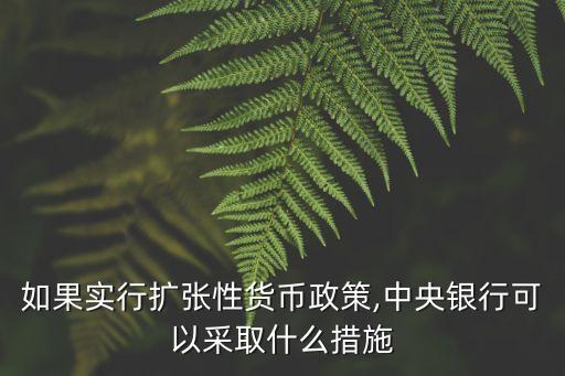 中國版qe是,中國qe的傳聞