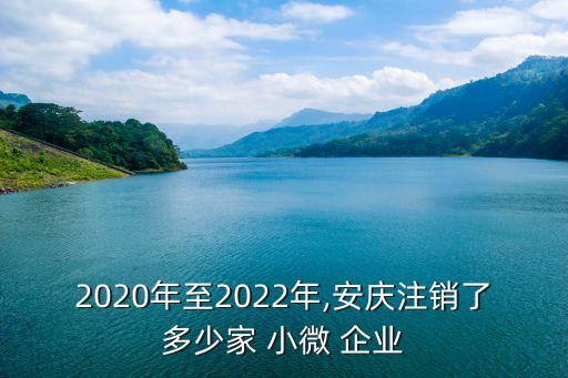 2020年至2022年,安慶注銷(xiāo)了多少家 小微 企業(yè)