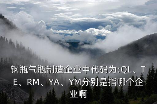 鋼瓶氣瓶制造企業(yè)中代碼為:QL、TE、RM、YA、YM分別是指哪個(gè)企業(yè)啊