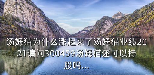 湯姆貓為什么漲起來了湯姆貓業(yè)績2021請問300459湯姆貓還可以持股嗎...