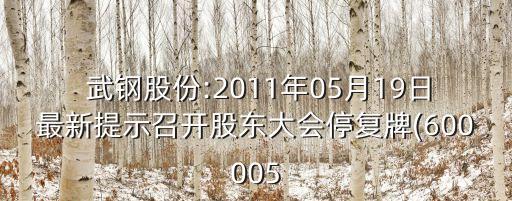  武鋼股份:2011年05月19日最新提示召開股東大會停復(fù)牌(600005