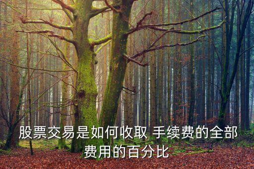  股票交易是如何收取 手續(xù)費的全部費用的百分比