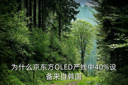 為什么京東方OLED產(chǎn)線中40%設(shè)備來自韓國(guó)