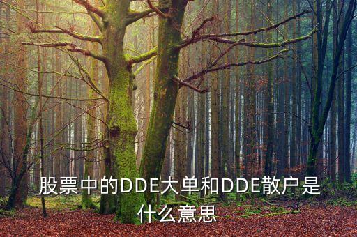  股票中的DDE大單和DDE散戶是什么意思