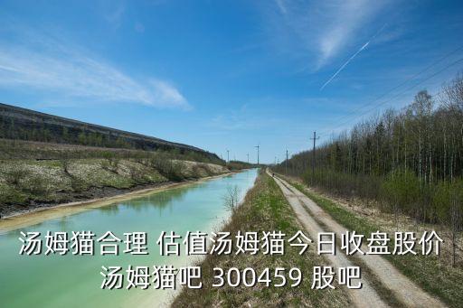 湯姆貓合理 估值湯姆貓今日收盤股價湯姆貓吧 300459 股吧