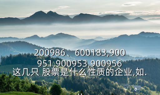 200986、600183,900951,900953,900956這幾只 股票是什么性質的企業(yè),如...