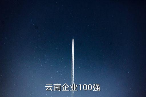 云南企業(yè)100強(qiáng)