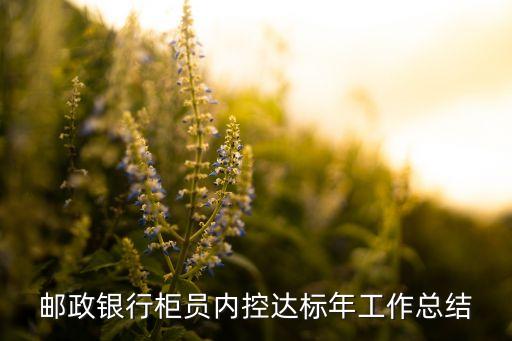 郵政銀行柜員內(nèi)控達(dá)標(biāo)年工作總結(jié)