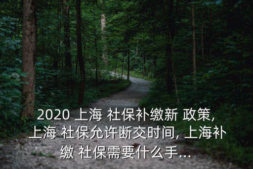 2020 上海 社保補繳新 政策, 上海 社保允許斷交時間, 上海補繳 社保需要什么手...