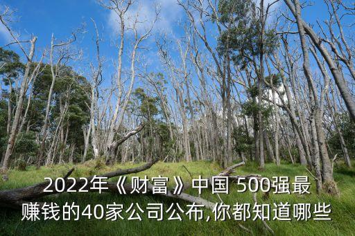 2022年《財富》中國 500強最賺錢的40家公司公布,你都知道哪些