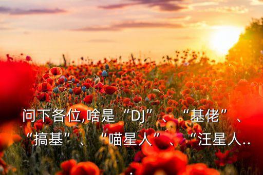 問下各位,啥是“DJ”、“基佬”、“搞基”、“喵星人”、“汪星人...