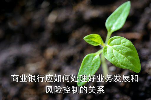 商業(yè)銀行風險管理與降準背景下的應(yīng)對策略