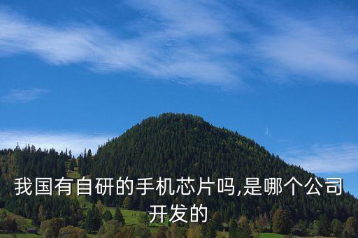 中國有核心技術(shù)的企業(yè),企業(yè)核心技術(shù)內(nèi)涵 多選