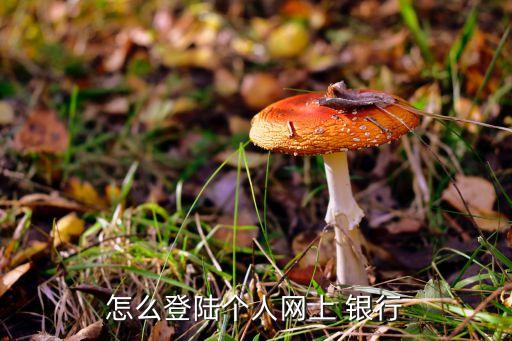 怎么登陸個(gè)人網(wǎng)上 銀行