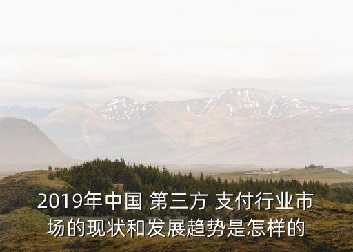 2019年中國 第三方 支付行業(yè)市場的現(xiàn)狀和發(fā)展趨勢是怎樣的