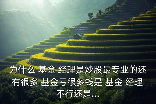 為什么 基金 經(jīng)理是炒股最專業(yè)的還有很多 基金虧很多錢是 基金 經(jīng)理不行還是...