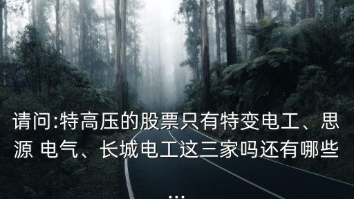 請(qǐng)問:特高壓的股票只有特變電工、思源 電氣、長(zhǎng)城電工這三家嗎還有哪些...