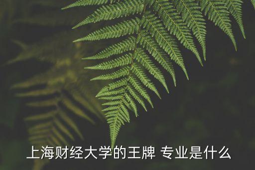 上海財(cái)大有哪些專業(yè)