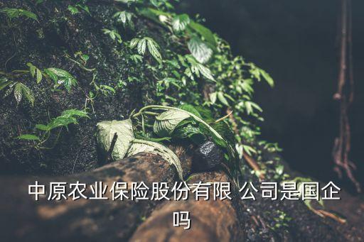  中原農(nóng)業(yè)保險股份有限 公司是國企嗎