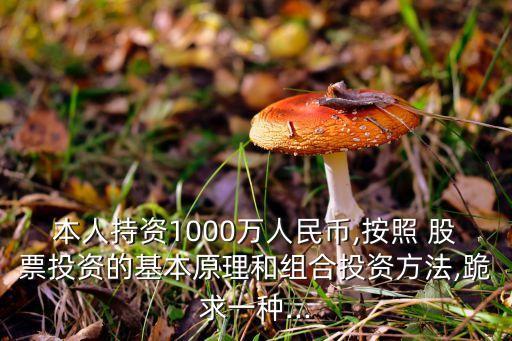 本人持資1000萬(wàn)人民幣,按照 股票投資的基本原理和組合投資方法,跪求一種...