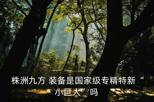 株洲鼎端裝備股份有限公司