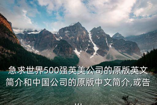 急求世界500強(qiáng)英美公司的原版英文簡介和中國公司的原版中文簡介,或告...