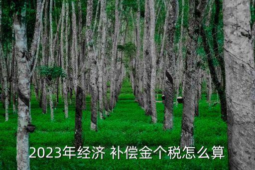 2023年經(jīng)濟(jì) 補(bǔ)償金個(gè)稅怎么算