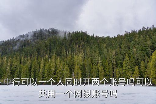 中行可以一個人同時開兩個賬號嗎可以共用一個網(wǎng)銀賬號嗎