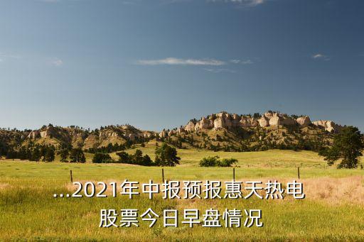 ...2021年中報預(yù)報惠天熱電 股票今日早盤情況