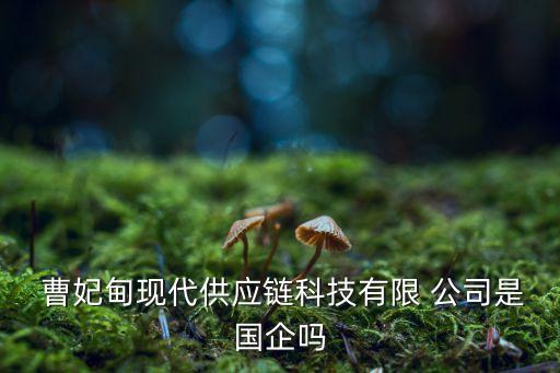  曹妃甸現(xiàn)代供應(yīng)鏈科技有限 公司是國(guó)企嗎