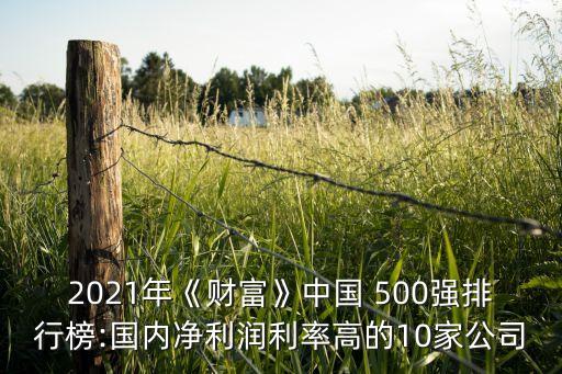 2021年《財富》中國 500強排行榜:國內(nèi)凈利潤利率高的10家公司