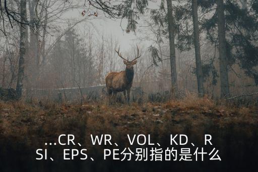 ...CR、WR、VOL、KD、RSI、EPS、PE分別指的是什么