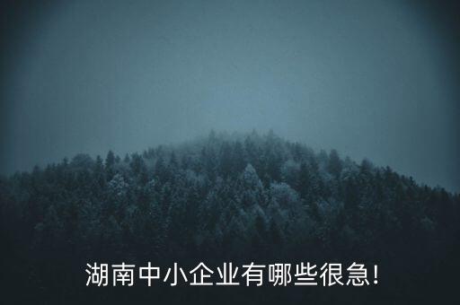  湖南中小企業(yè)有哪些很急!