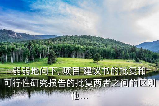 弱弱地問(wèn)下, 項(xiàng)目 建議書的批復(fù)和可行性研究報(bào)告的批復(fù)兩者之間的區(qū)別他...