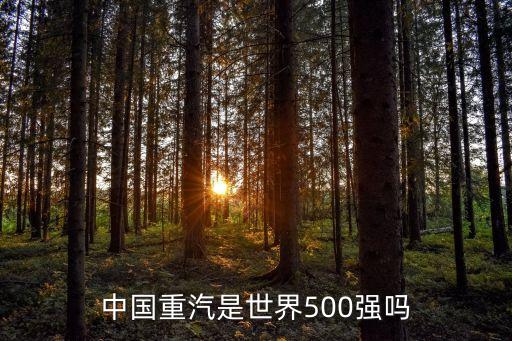 中國重汽是世界500強嗎