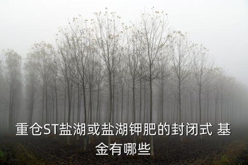 重倉ST鹽湖或鹽湖鉀肥的封閉式 基金有哪些