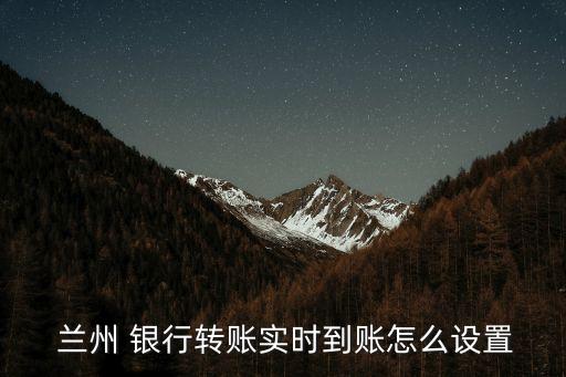  蘭州 銀行轉(zhuǎn)賬實時到賬怎么設置