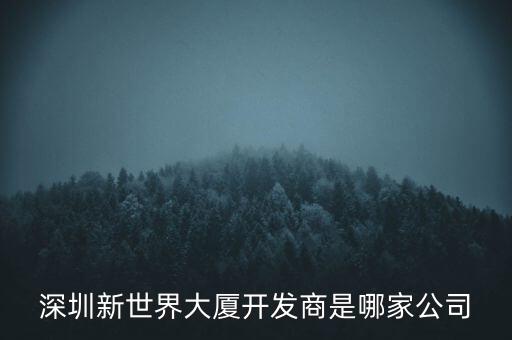 深圳新世界大廈開發(fā)商是哪家公司